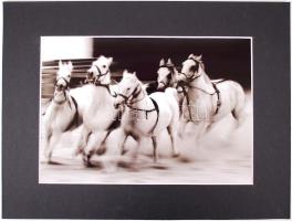 Szabó Márta (1966): Lendületben. Digitális felvétel. Lambda print, paszpartuzva, házul  jelzett, sorszámozott. Képméret 29x21 cm /  Szabó Márta (1966): In zip. Digital lambda print. Signed, numbered. 29x21 cm