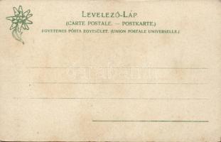 Tátra Barlangliget, Vaskapu-nyaraló / villa