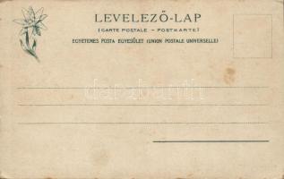 Felka Krompecher-telep, fürdőház / spa