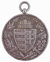 1918. Magyar Háborús Emlékérem kardokkal, sisakkal "Pro Deo et Patria" ezüstözött Br kitün...