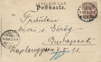 1899 Aus A. Hendschel's Skizzenbuch No. 6. 'Zuckerlecker'