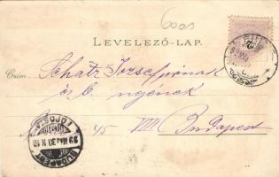 1899 Fiume port, theatre, litho (fl)