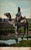 Camel cavalry transport (EK)