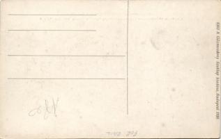 MÁV 376. sor Brotán kazánú, Schmidt túlhevítős szertartályos mozdonya / MÁV 376 locomotive