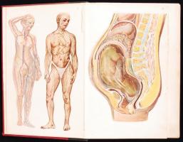 Tolnai: Orvos a családban I-V. kötet. Budapest, 1937, Tolnai Kiadó. Kiadói félvászon kötésben, jó ál...