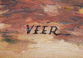 Veér jelzéssel: Balaton part. Olaj, vászon, keretben, 63×82 cm