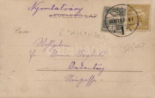 Jégvirágok II. litho, Raphael Kirchner