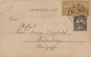 Jégvirágok V. litho, Raphael Kirchner