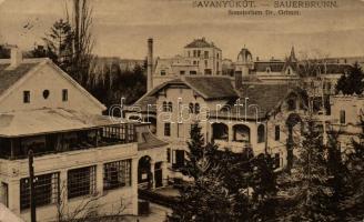 Savanyúkút, Sauerbrunn; Dr. Grimms sanatorium (EK)