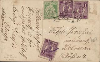 Hen with chickens, litho (fl)