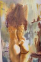 Bihari Sándor (1947-): Női akt. Akvarell, papír, jelzett, üvegezett keretben, 70×33 cm