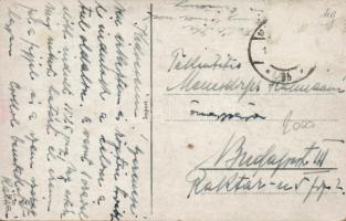 Cats with motorbike, humour