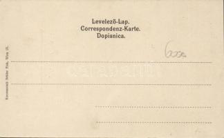 SS Hegedűs Sándor, Hungarian Croatian ship company, flag litho