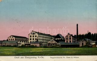 Ebergassing, Haas carpet factory