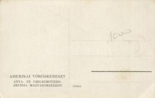 Hungarian mother and child protective project of the American Red Cross, irredenta (EB)