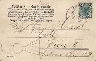 New Year, gorilla toasts with champagne, humour