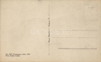 Horthy Miklós, 'Bélyegkiállítás' So. Stpl