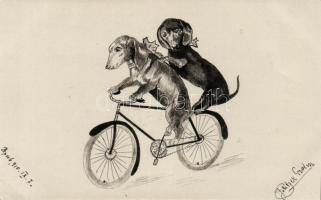 Cycling dogs, hand-painted postcard