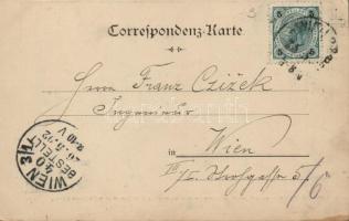 'Marsbewohner', Alien in Vienna, bizarre s: Schliessmann (?) (fl)