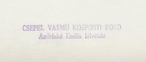 cca 1960 Budapest, épül az Erzsébet híd. Andruskó Emilia felvétele 18x24 cm