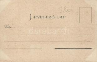 Rajecfürdő, Hotel Agrarius litho