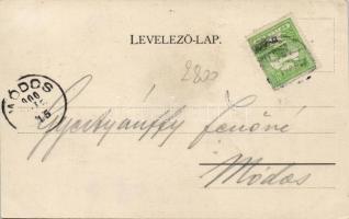 Versec Baross square