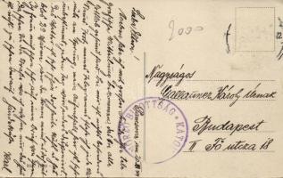 Pancsova, Sztarcsovai út / street