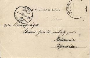 Pancsova Sztarcsovai út / street