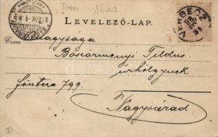 1898 Versec, Főtér, Johann Dimitrijevits és Frisch Hugó kereskedése / main square, shops