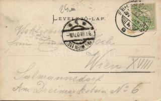 Fehértemplom Hotel Haller