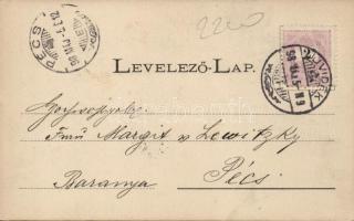 1898 Újvidék Pétervárad, Kamanc / Kamenica; floral