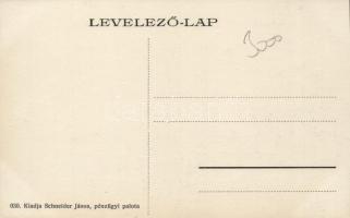 Nagybecskerek Erzsébet híd / bridge