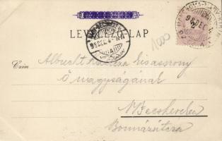 1898 Pancsova, grammar school