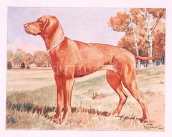 Vadász- és horgász-sport 1943. Szerk. József Ákos és József Lajos. Kolozsvár 1943. Vajna és Bokor. 1...