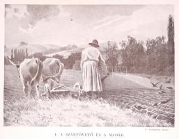 Herman Ottó: A madarak hasznáról és káráról. Darányi Ignácz m. kir. földmivelésügyi minister megbízá...