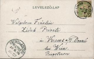 Daszti, Dasztifalu / Egyházasfalu; floral