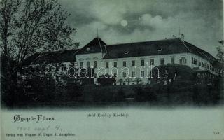 Gyepűfüzes, Erdődy-kastély / castle