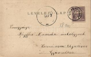 Selegszántó / Ottova, Antau; floral