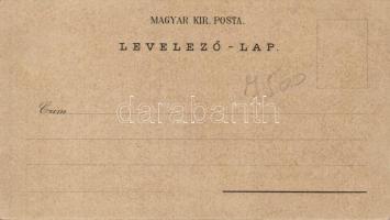 Tarcsa fürdő / spa litho