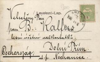 Pándorfalu, Parndorf; Georg Schwarz kereskedése /  shop