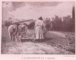 Herman Ottó: A madarak hasznáról és káráról. Darányi Ignácz m. kir. földmivelésügyi minister megbizá...