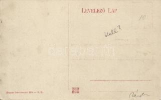 Budapest, Bleriot gépe