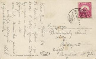 Balatonfüred yacht klub, hidroplán