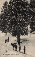 Skijoring in the Swiss Alps