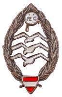 DN Osztrák vitorlázó repülős jelvény "AE.C." miniatűrrel T:2
ND Austrian glider badge &quo...