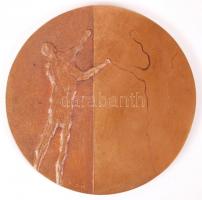 Csíkszentmihályi Róbert(1940-): Tükör. Plakett, bronz, jelzett, d:10,5 cm