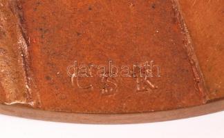 Csíkszentmihályi Róbert(1940-): Tükör. Plakett, bronz, jelzett, d:10,5 cm