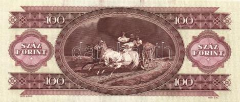 1993. 100Ft (2x) egymás utáni sorszámmal és nyomdai festékfoltokkal T:I