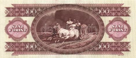 1993. 100Ft (7x) egymás utáni sorszámmal és nyomdai festékfoltokkal T:I