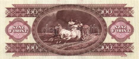 1993. 100Ft (7x) egymás utáni sorszámmal és nyomdai festékfoltokkal T:I